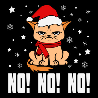 Angry cat