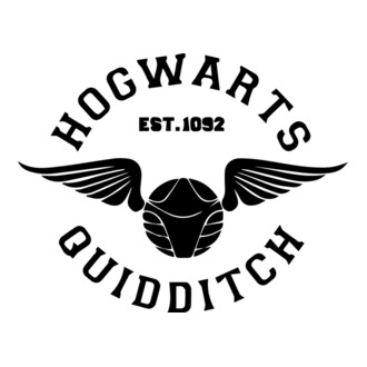 Hogwarts Quidditch