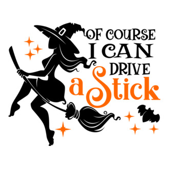 I CAN DRIVE