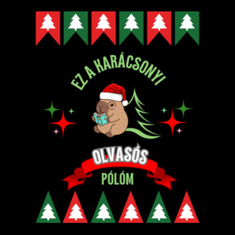 Karácsonyi olvasós 
