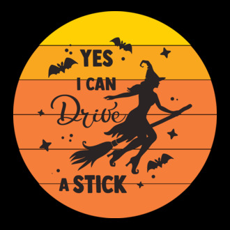 Yes i can drive a stick